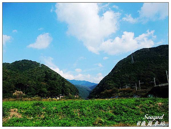 平平淡淡的生活才是人生最大的冒險...