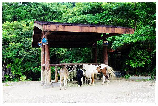 台北市立動物園