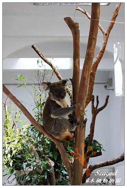 台北市立動物園