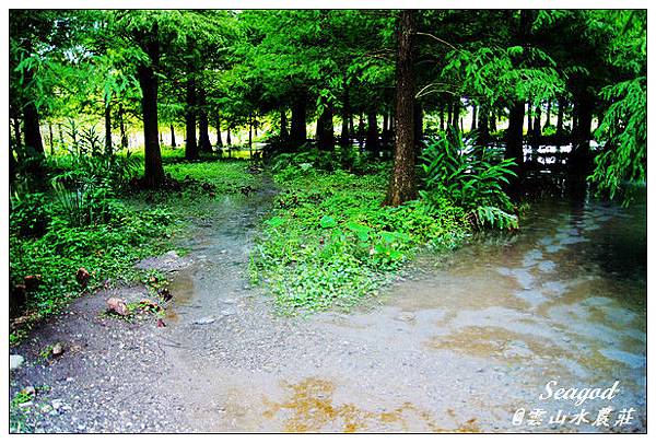 雲山水 雲山水