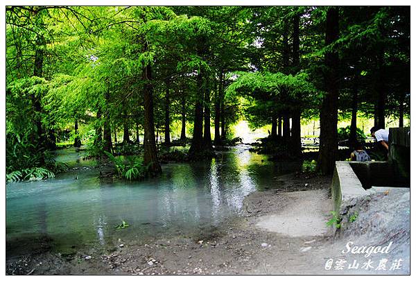 雲山水 雲山水