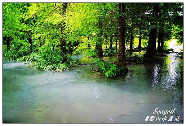 雲山水 雲山水
