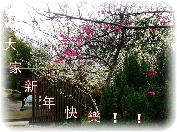 2013蛇麼都好事事如意
