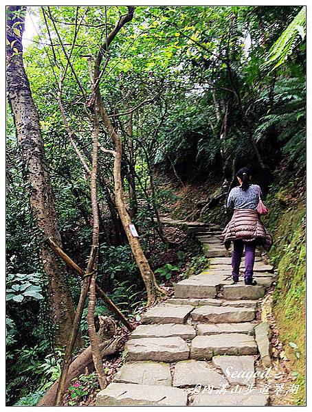 內溝山步道翠湖