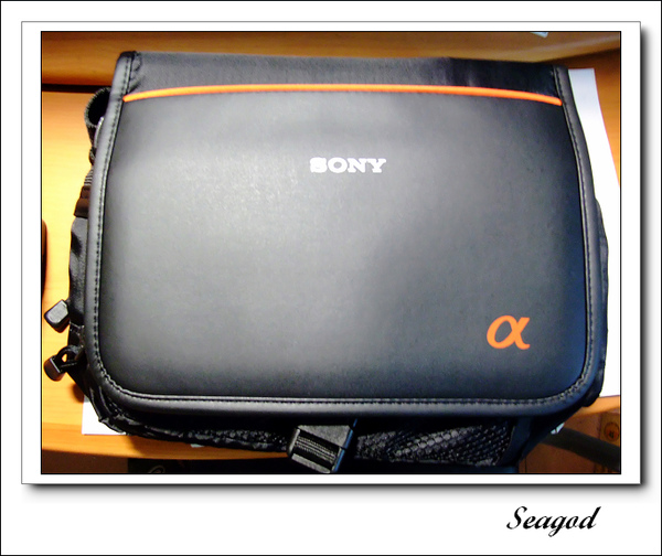 SONY A33