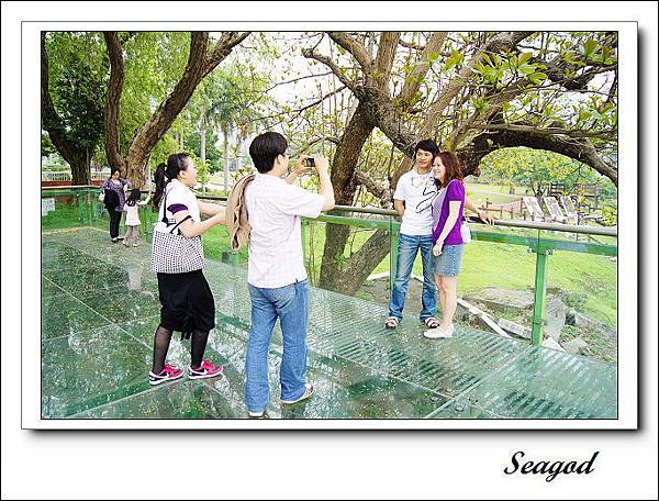 大坑地震公園 大坑地震公園