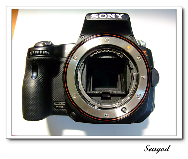 SONY A33