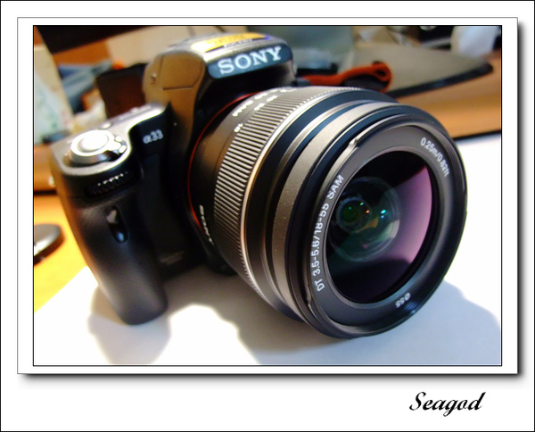 SONY A33