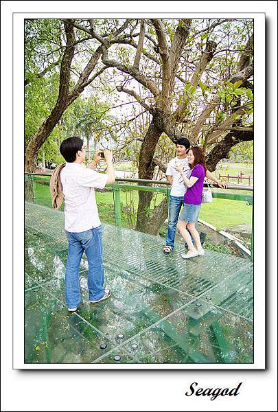 大坑地震公園 大坑地震公園