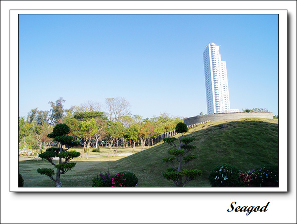 中央公園 中央公園
