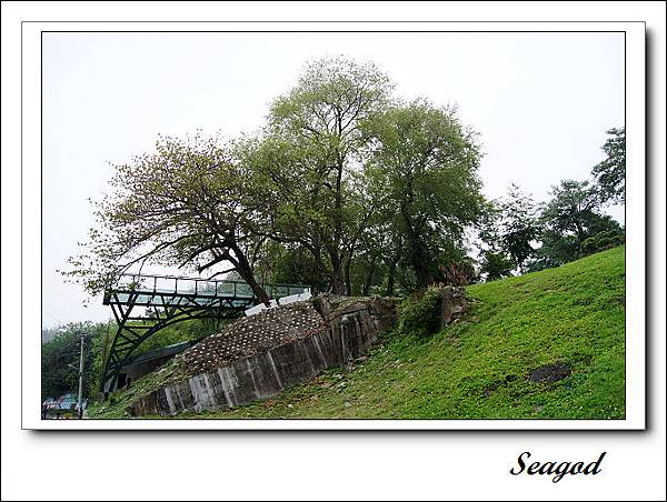 大坑地震公園 大坑地震公園