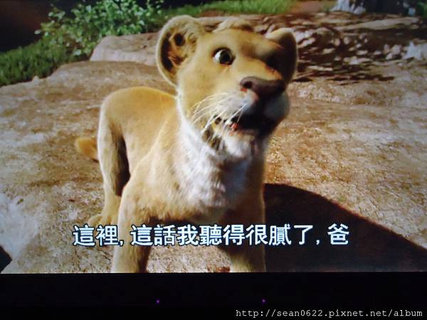 DSC00163 DSC00163