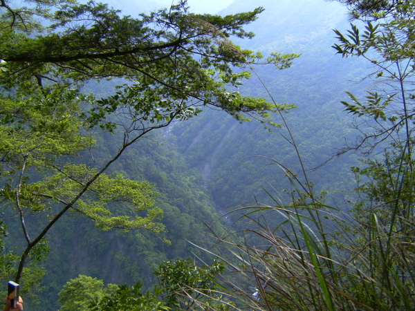 PICT1467.JPG PICT1467.JPG