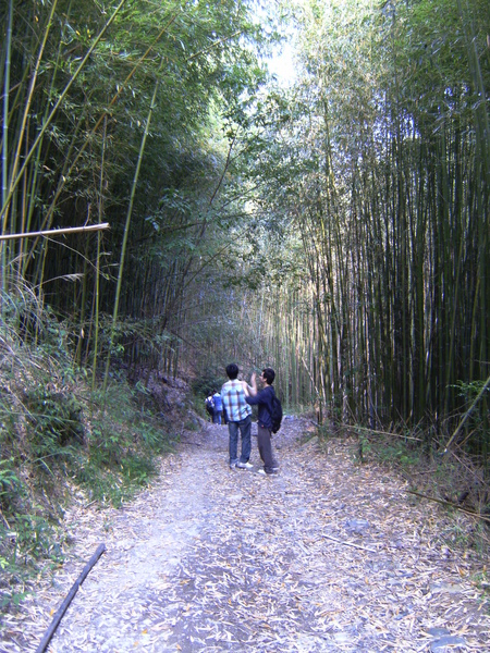 PICT1499.JPG PICT1499.JPG