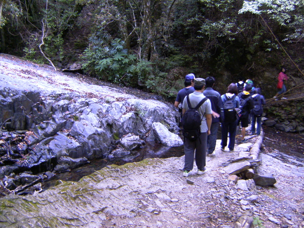 PICT1535.JPG PICT1535.JPG