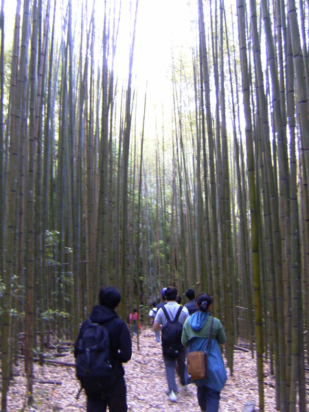 PICT1549.JPG PICT1549.JPG