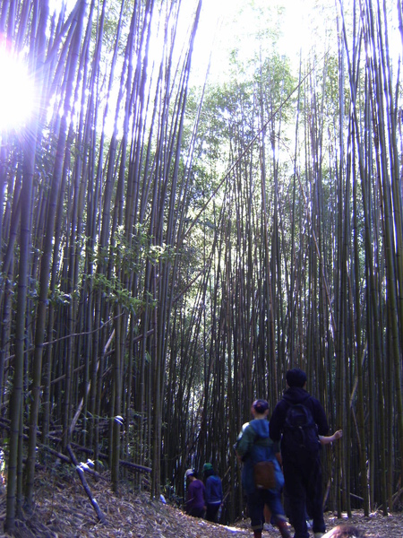 旋轉對象 PICT1532.JPG 旋轉對象 PICT1532.JPG