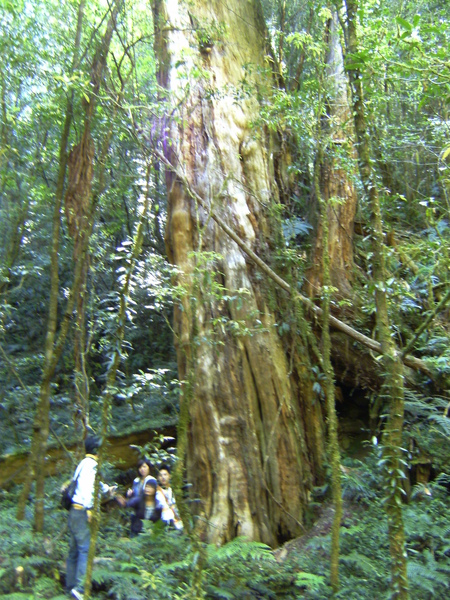 旋轉對象 PICT1610.JPG 旋轉對象 PICT1610.JPG