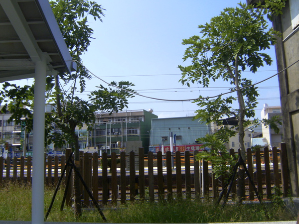 PICT0279.JPG PICT0279.JPG