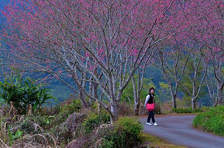 D7K_7507 (2) D7K_7507 (2)