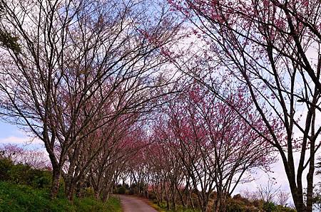 D7K_7461 (2) D7K_7461 (2)