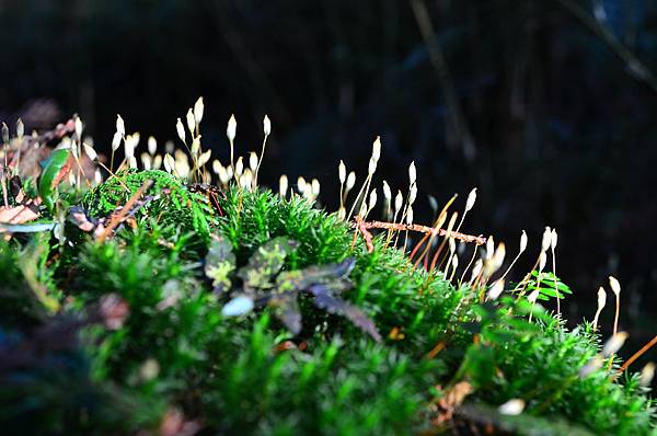 DSC_0041.JPG DSC_0041.JPG