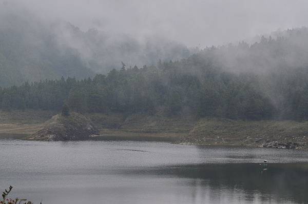 DSC_0299.JPG DSC_0299.JPG