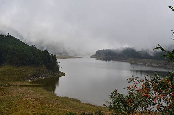 DSC_0309.JPG DSC_0309.JPG