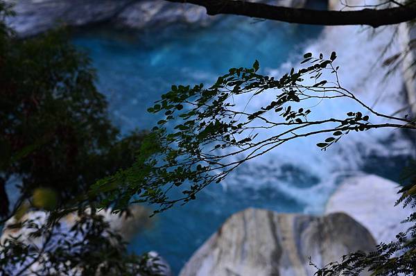 DSC_9157.JPG DSC_9157.JPG