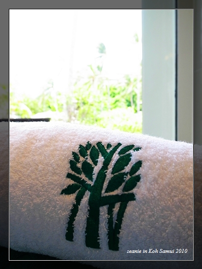 22處處可見悅榕莊LOGO.jpg 22處處可見悅榕莊LOGO.jpg