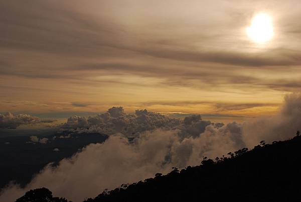 DSC_0409 DSC_0409