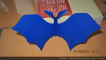 IMG_0011 (4) IMG_0011 (4)