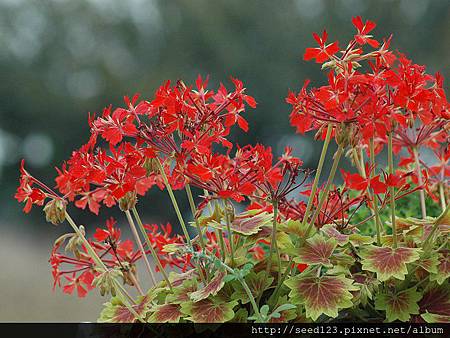 照片上傳 照片上傳