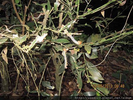 照片上傳 照片上傳