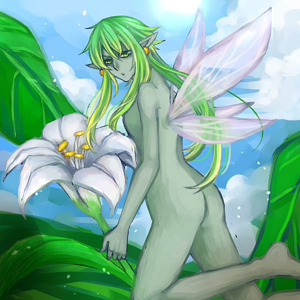 妖精 色 妖精 色