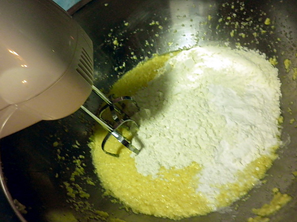 P10200091.jpg P10200091.jpg