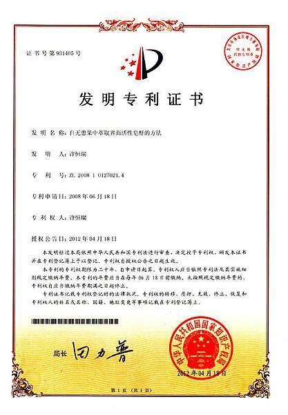 大陸發明專利 大陸發明專利