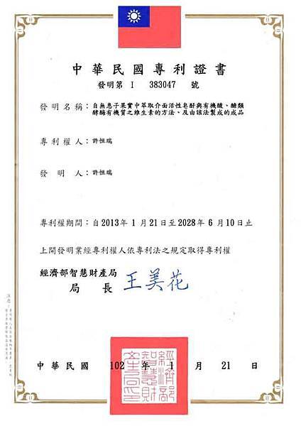 台灣發明專利 台灣發明專利