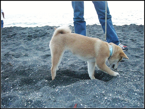 有土地就有她(原發表者:seeress)(影片)