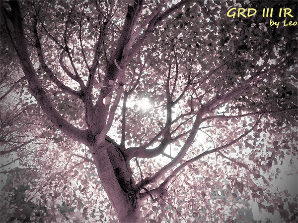 2009.09.20 - 交大壘球場 fake IR effect !