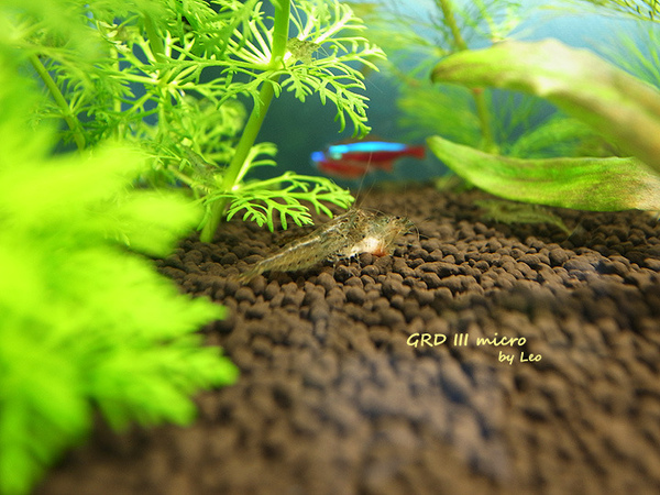2009.09.20 - water world of Chia-yin