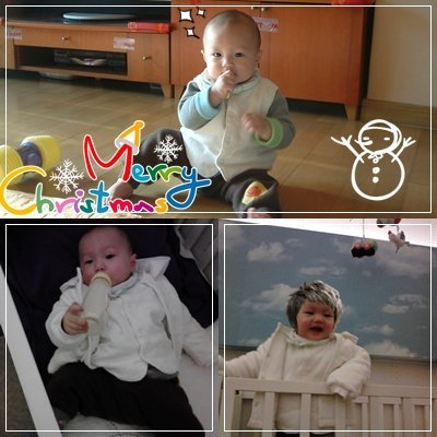 金凱瑞光頭照 金凱瑞光頭照