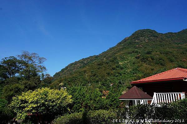 007 DSC02928 今天天氣好好.JPG