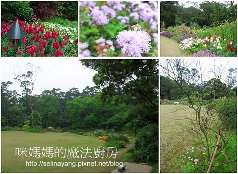 陽明山納美花園 綠舍歐法料理-o4-P.jpg 陽明山納美花園 綠舍歐法料理-o4-P.jpg