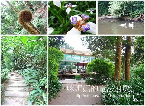 陽明山納美花園 綠舍歐法料理-o1-P.jpg 陽明山納美花園 綠舍歐法料理-o1-P.jpg
