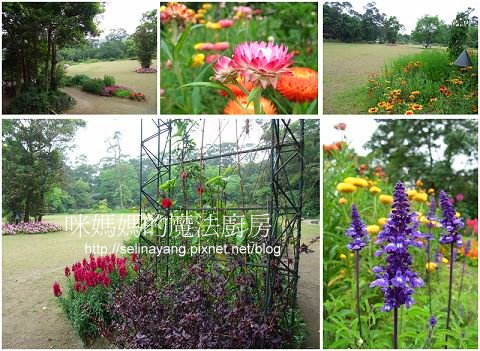 陽明山納美花園 綠舍歐法料理-o2-P.jpg 陽明山納美花園 綠舍歐法料理-o2-P.jpg