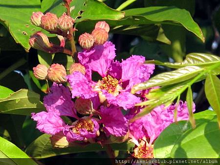 IMG_2328 IMG_2328