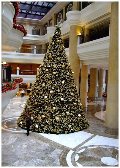 豆芽生长过程的简笔画,赣榆高级中学校花李樊