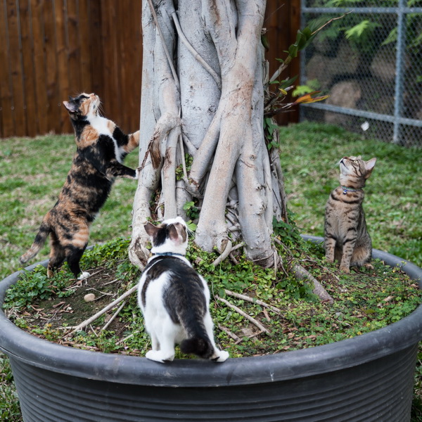 DSC_6433_resize DSC_6433_resize