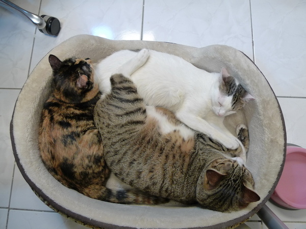 P1000607_調整大小.JPG P1000607_調整大小.JPG